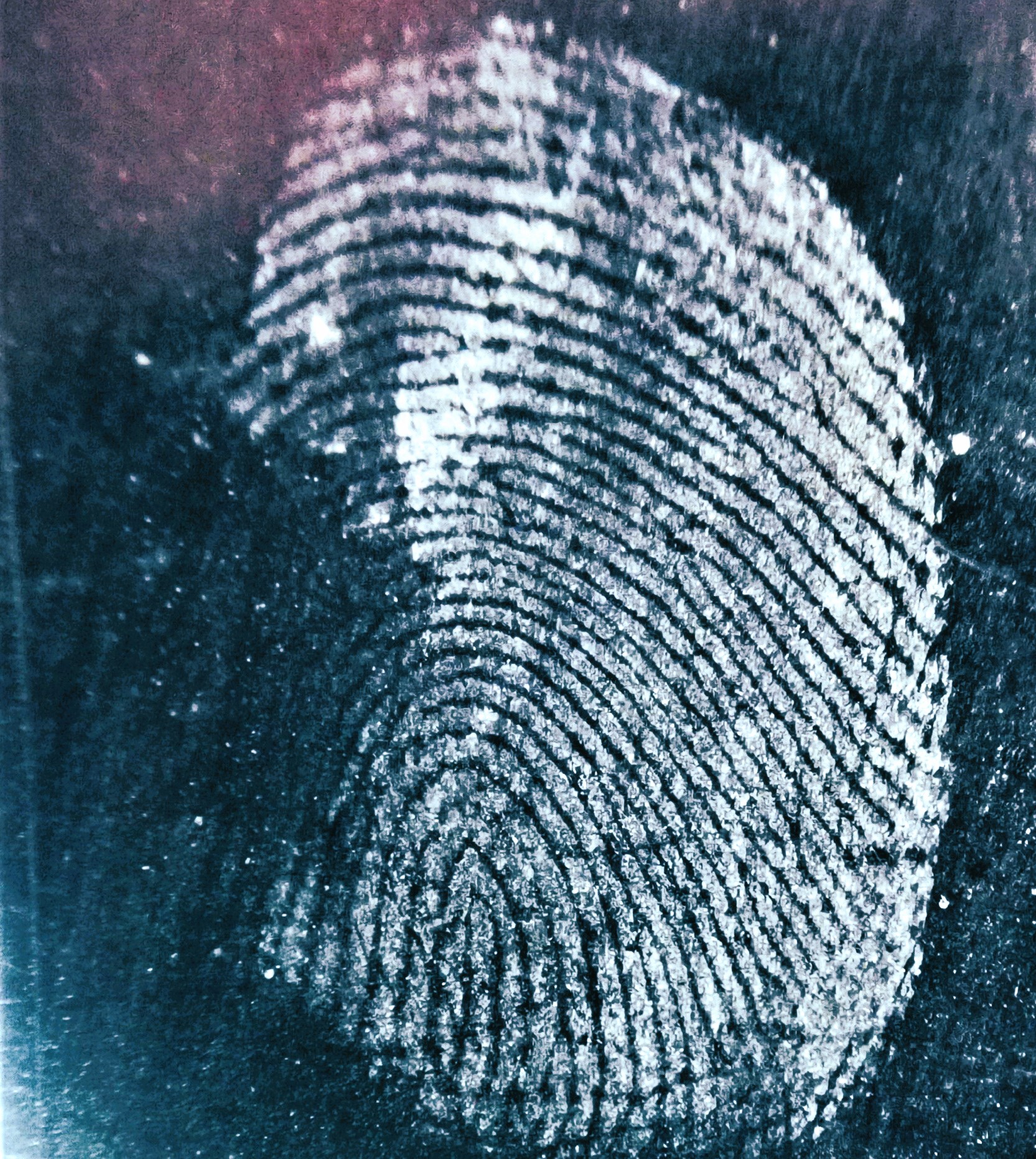VERIFICACION DE HUELLAS DIGITALES